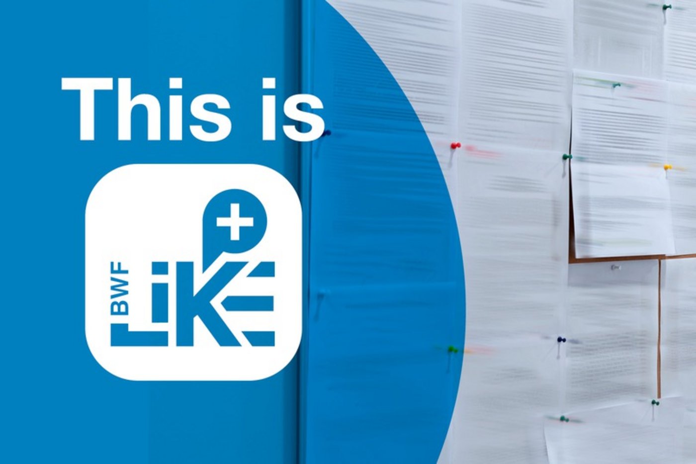 BWF LIKE+ App Mitarbeiter weltweit